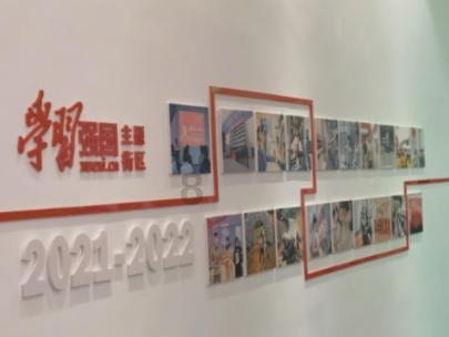 拯救穆尔小马