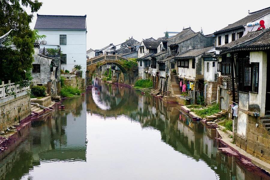 五彩鹦鹉救援